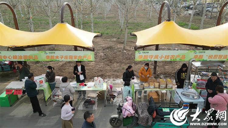匠心傳承，共富同行 廣饒縣李鵲鎮(zhèn)“好品李鵲共富市集”上的麥秸畫藝術