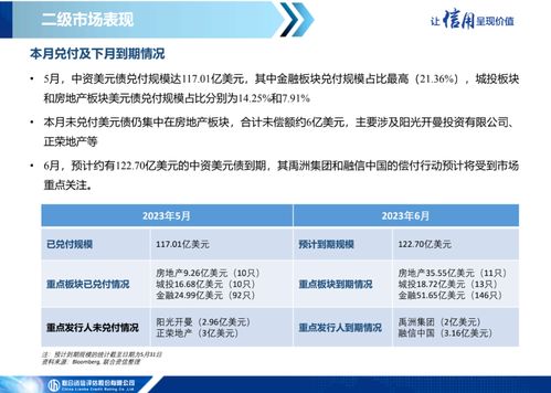 中資美元債市場信息月報（2023年5月） 一級市場發行繼續低迷，二級市場表現保持分化